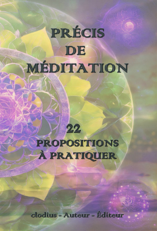 https://www.clodius.ch/futur/assets/images/couverture-600x880.jpg